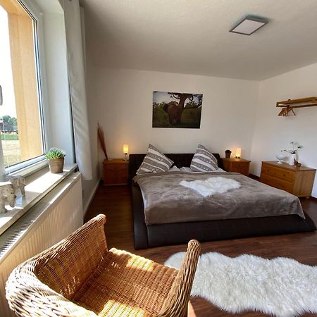 Gelbes Haus Seenland Ferienwohnungen Xl Elsterheide Kültér fotó