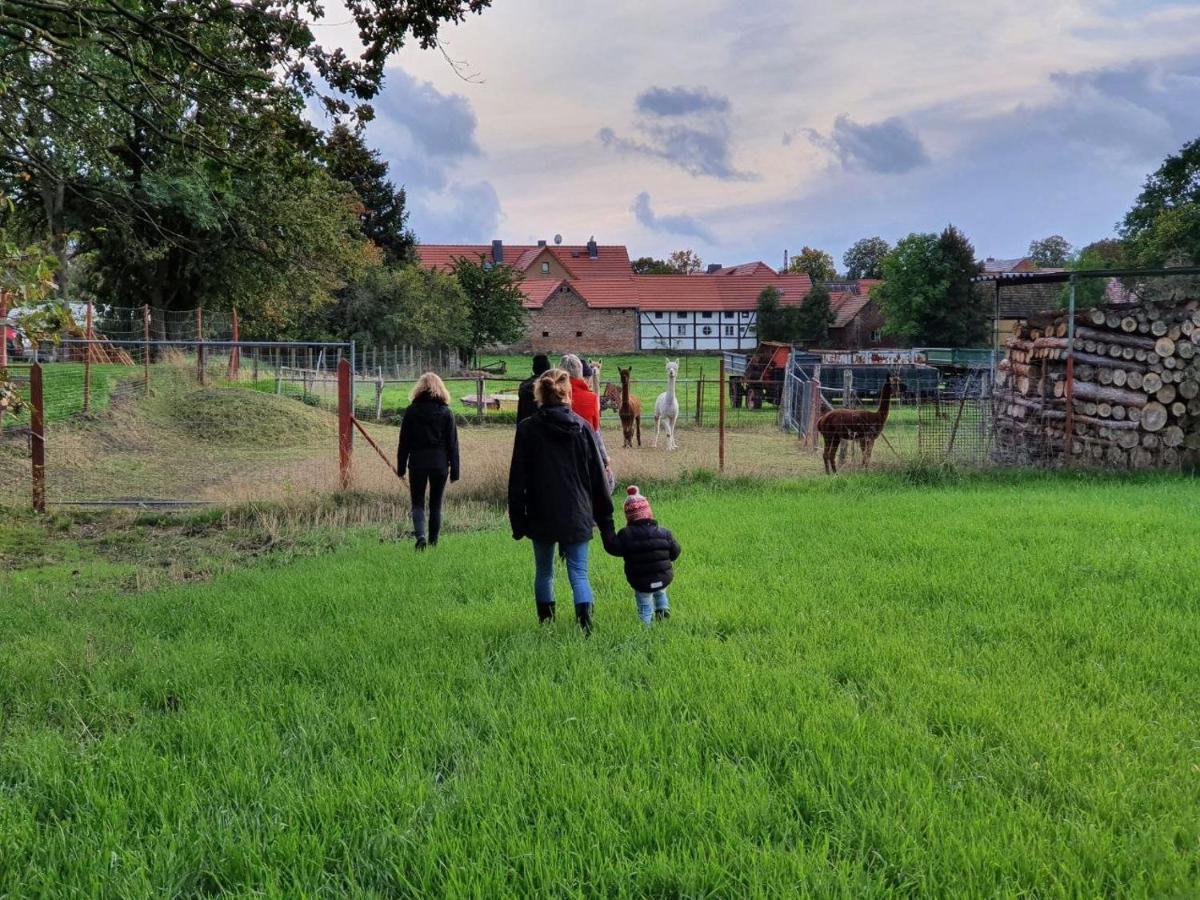 Gelbes Haus Seenland Ferienwohnungen Xl Elsterheide Kültér fotó