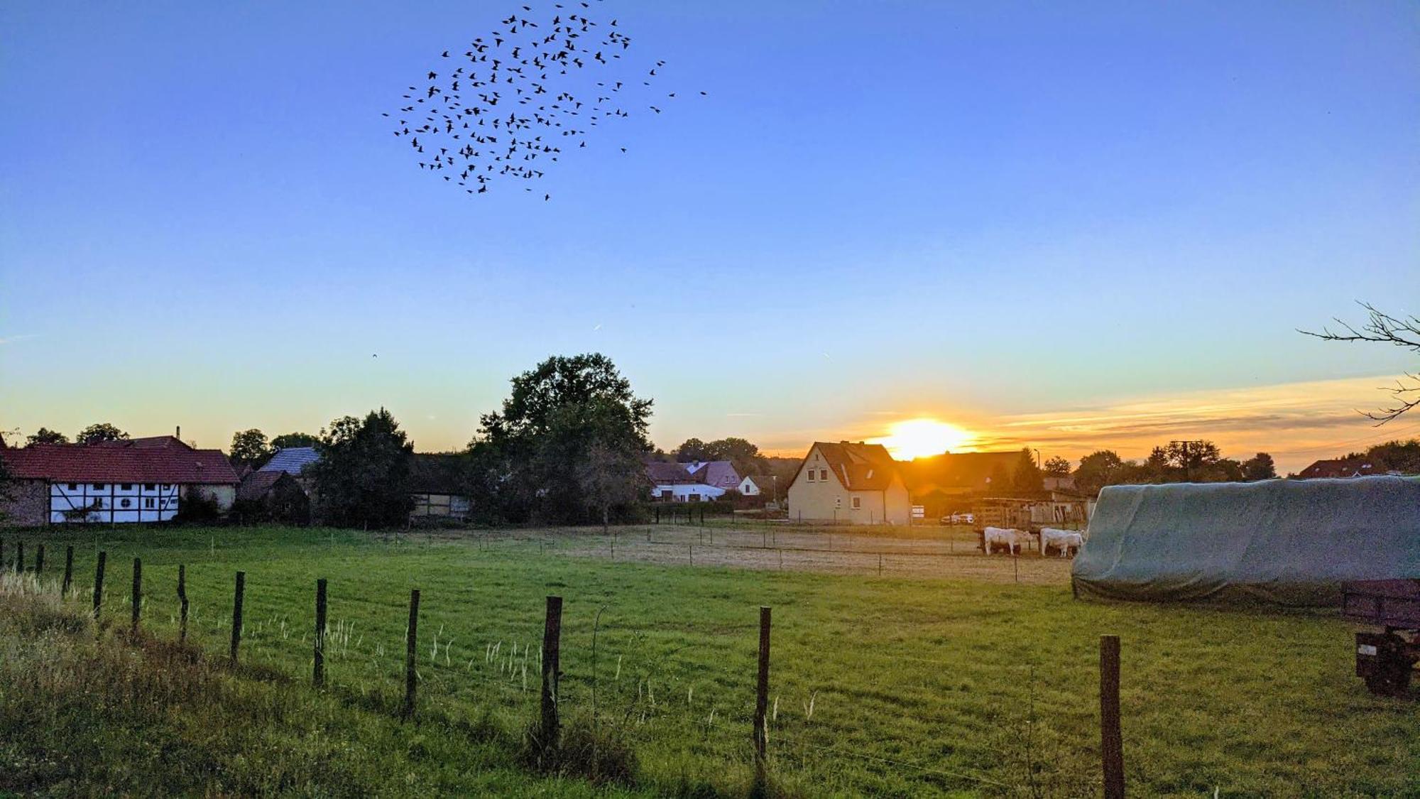 Gelbes Haus Seenland Ferienwohnungen Xl Elsterheide Kültér fotó
